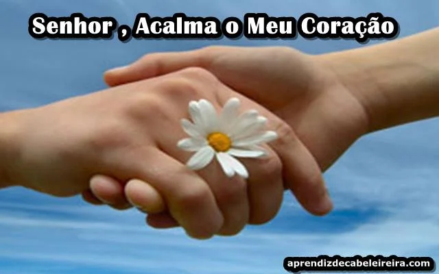 Acalma o Meu Coração Senhor - Reflexão do Dia